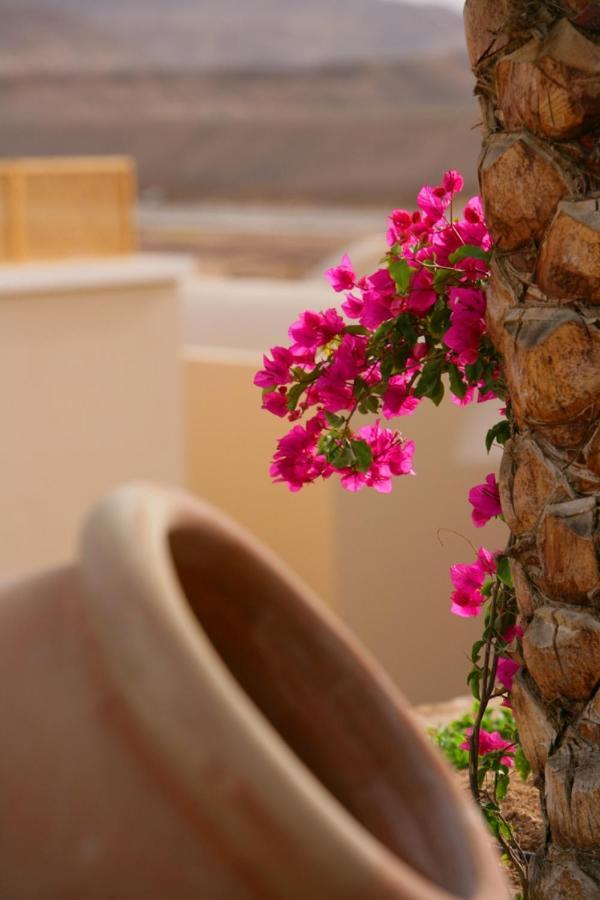 Tui Magic Life Kalawy Hotel Hurghada Bagian luar foto
